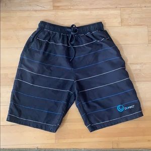 Grey and Sea Blue Striped Boardshorts